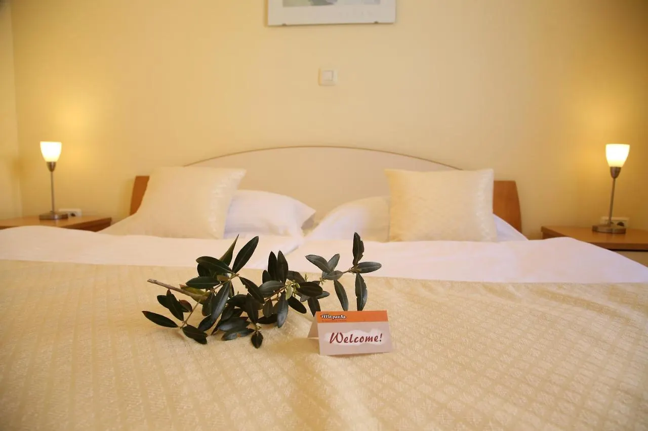 Villa Punta Zadar Apartment