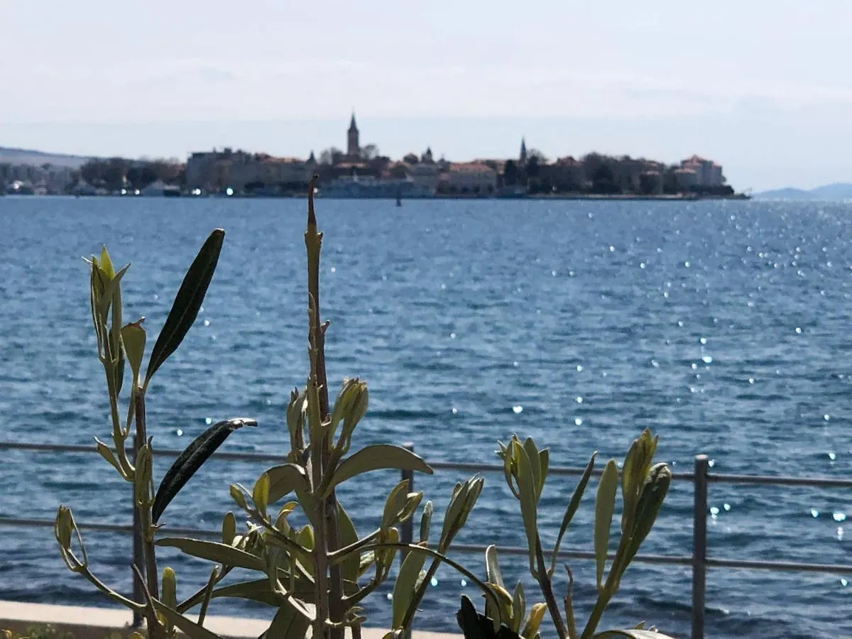 Villa Punta Zadar 0*,