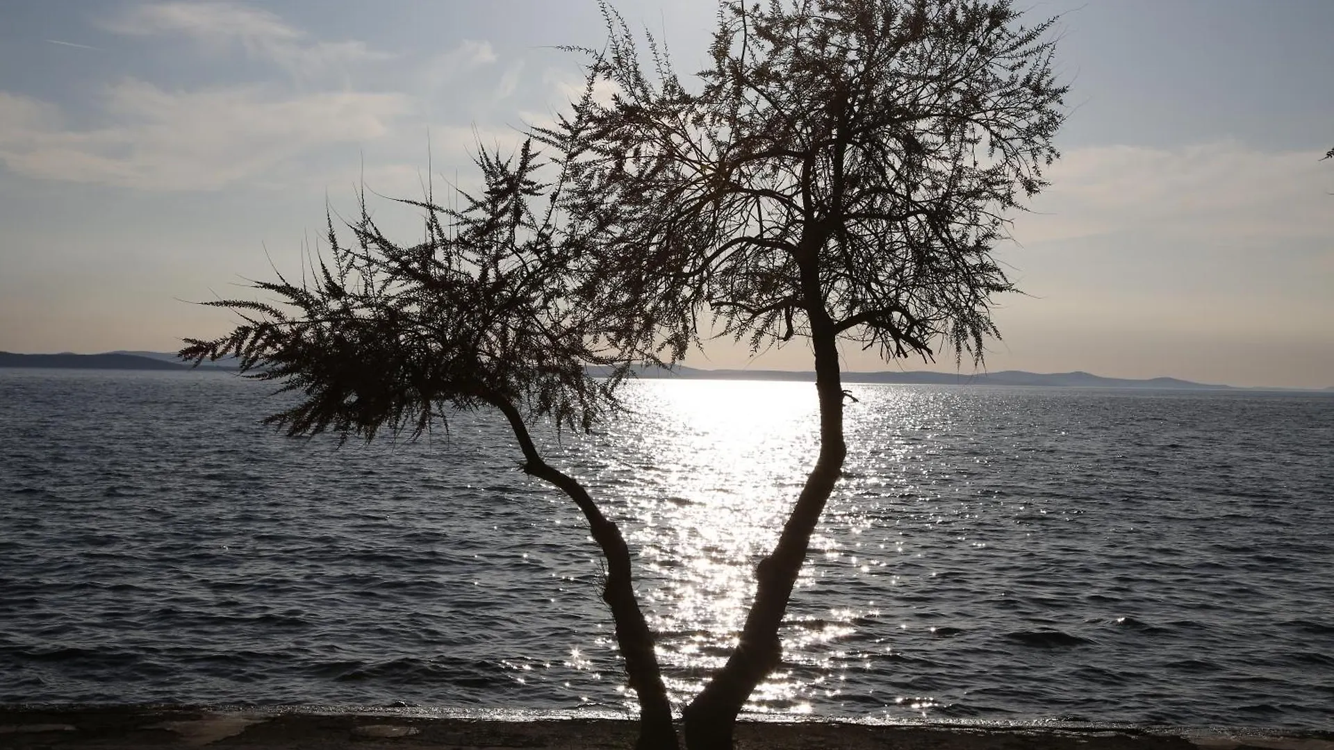 Apartment Villa Punta Zadar
